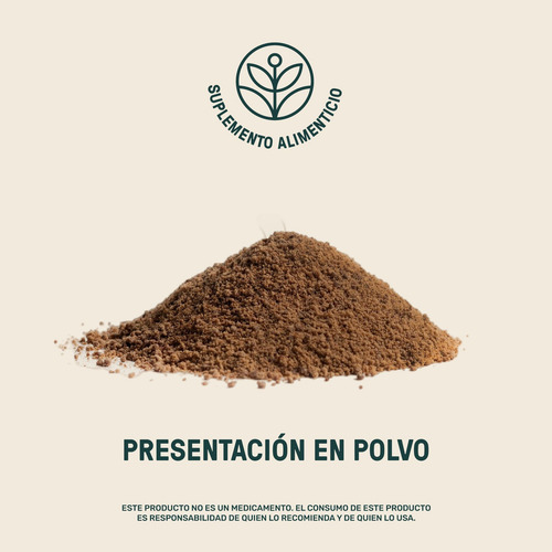 LIFE360+ vegan protein 620g polvo a base de proteínas de soya sabor chocolate