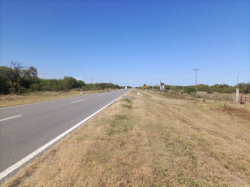 Imagen 4 de 4 de 2000m2 Sobre Ruta Nacional