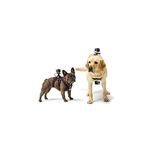 Gopro Fetch (arnés Del Perro) (gopro Monte Oficial)