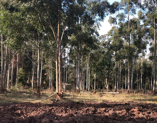 Oportunidad Terreno En Chacras Del Pinar La Colina 1000 Mts.