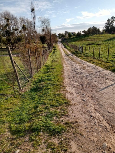 Venta Parcela 1 Hect.con Casa Codigua Melipilla $110.000.000