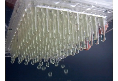 Generador Caviar Molecular Cocina Caja
