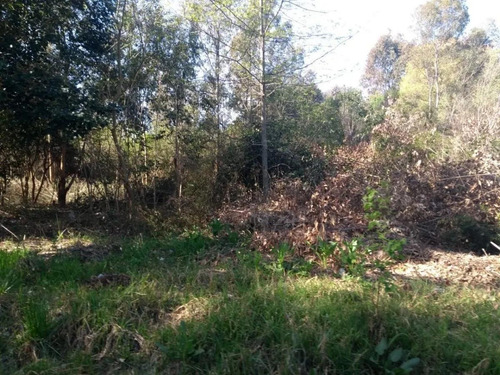 Imagen 7 de 7 de Terreno - Del Viso