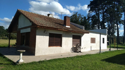 Campo En Venta Provincia De Buenos Aires Ruta 226