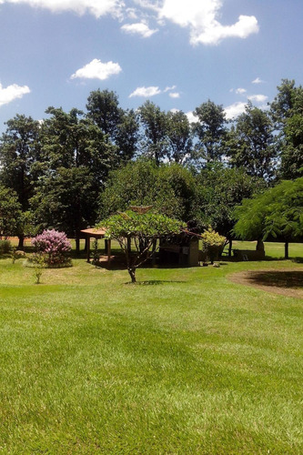 Apartamentos - Ref: V8368