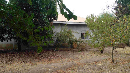 Venta De Parcela Agrícola,excelente Ubicación Y Plusvalía.
