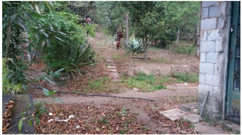Imagem 1 de 6 de Oportunidade Ótimo Preço - Sp Capital - 68143