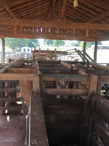 Imagem 2 de 13 de Fazenda Dupla Aptidão Estado De São Paulo