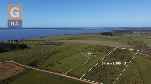 Campos Y Fracciones En Maldonado (laguna Del Sauce) - Ref. 4616