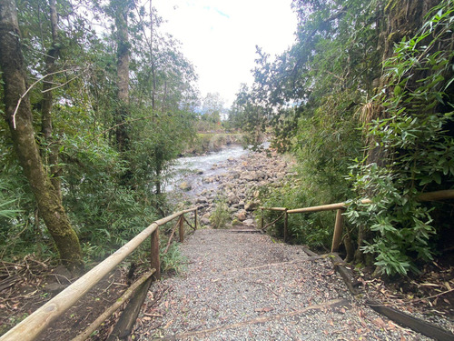 Bajada Al Lago Y Al Río Exclusiva