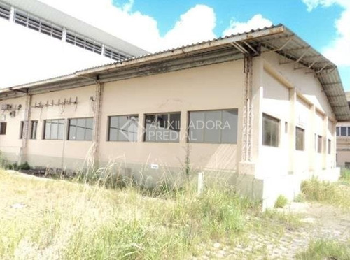 Imagem 4 de 14 de Terreno - Sao Joao - Ref: 303143 - L-303143