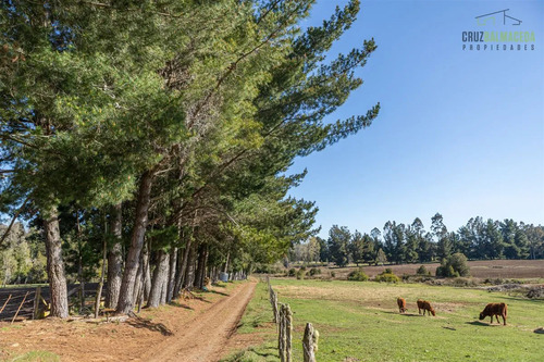 Agrícola En Venta En Fresia
