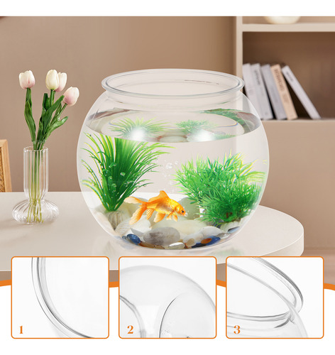 Acuario Redondo Transparente Con Pequeños Recipientes Para P