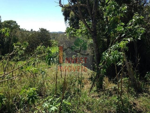 Imagem 9 de 10 de Terreno - Ref: 4159 - V-4159