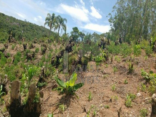 Imagem 2 de 8 de Cód 1770 - Terreno De 123.000 M² Com Ótima Localização. - 1770