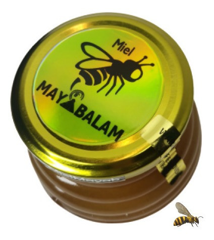 Miel Mantequilla De La Selva Maya Panalito 520g