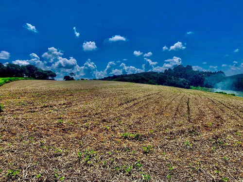 Imagem 4 de 5 de Compre Aqui Seu Lote De 500m2 E Realize Seu Sonho 01
