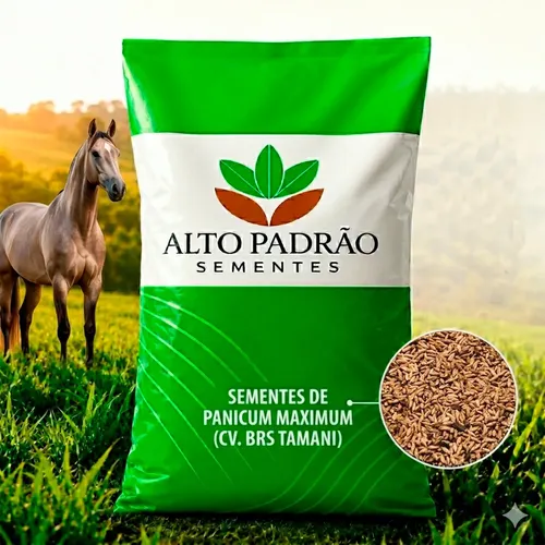 Semente Tamani 1kg Para Pastejo Rotacionado | MercadoLivre