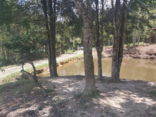 Imagem 13 de 30 de Chacara - 425 - 69551340