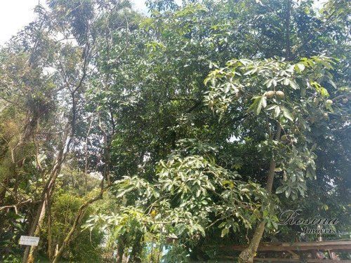 Imagem 14 de 20 de Terrenos A Venda No Barro Barro Branco A Partir De 55 Mil-negociáveis - Te0120