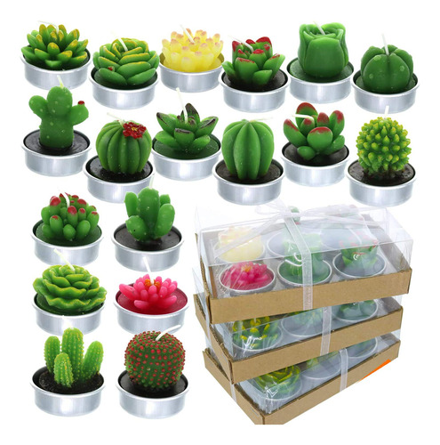 Giftexpress 18 Velas De Cactus Suculentas Que No Se Repiten,