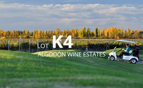 Lot K4 Algodón Wine Estates