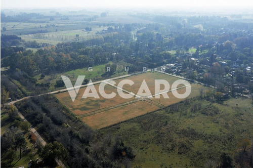 Imagen 1 de 7 de Lotes En Mercedes