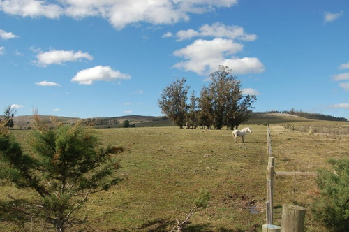Imagen 8 de 9 de Terreno Campo En Venta Ubicado En Laguna Del Sauce, Punta Del Este