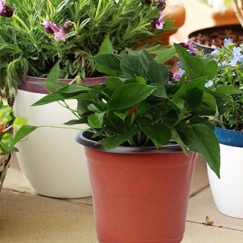 Macetas De Plástico Ligeras Para Vivero, 10 Unidades