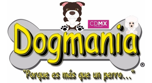 Imagen 3 de 3 de Carda Inglesa Fancy Chica Perros Pelo Largo Estetica Canina