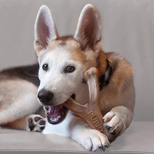 Juguete Mordedor Perro Benebone Puppy Wishbone, Bacon Real,