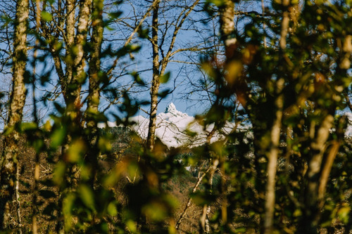 Precio Increible Cercano Pucon Hermosas Parcelas De Montaña