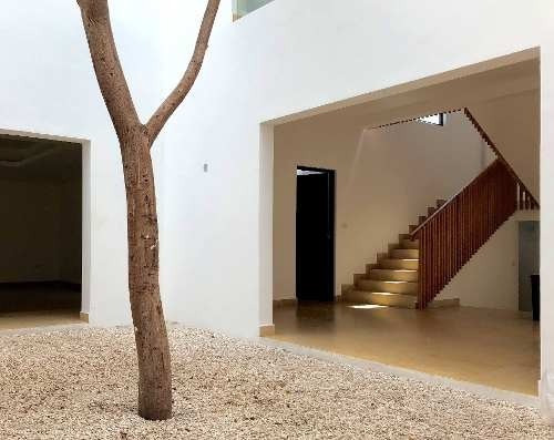 Casa Venta San Angel, Tlacopac