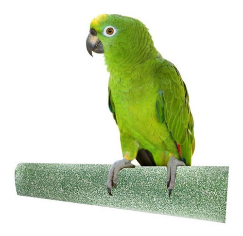 Percha Colgante Aves Loro Jaula Pedicura Pico Medium Color Verde