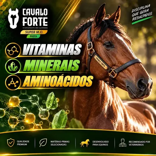 Pasta Mo Gel Cx Com 2 Seringas Suplemento Cavalo Forte Oral: imagem 3