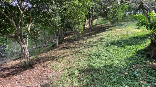 Vendo O Permuto Lote De 1300 M2 Vereda La Virginia - Mesitas Del Colegio (cundinamarca) Que Cuenta Con Escritura Pública Independiente. Libre De Demandas, Al Día De Impuestos, Entrega Inmediata.