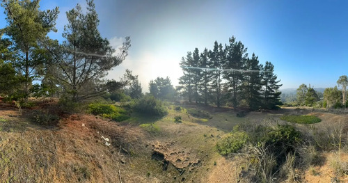 Terreno En Algarrobo Norte, Excelente Ubicación, 5.000 M2.