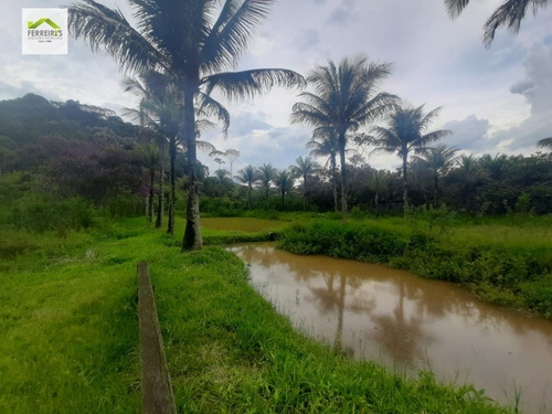 Imagem 8 de 30 de Sítio A Venda . - 830-1