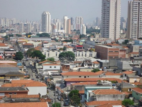 Imagem 8 de 15 de Apartamento - Vila Formosa - Ref: 1456 - V-1456