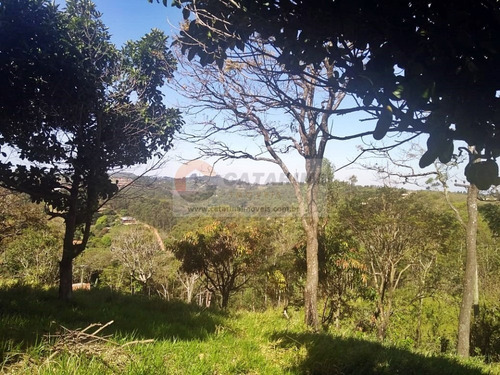 Imagem 3 de 7 de Lindo Terreno Com Linda Vista!