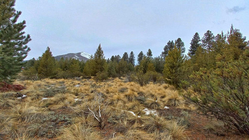 Imagen 3 de 21 de Terreno A La Venta En Bariloche