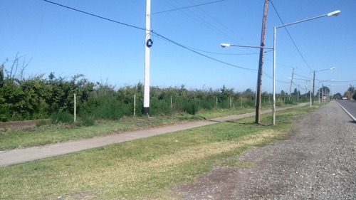 Finca De 6 Hectáreas Sobre Ruta En San Rafael, Mendoza..!!!