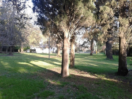 Imagen 4 de 7 de Venta De Parcela Ideal Emprendimiento, Canning.