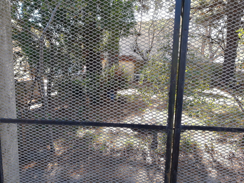 Imagen 10 de 13 de Chalet En Lote Propio + Lote En Esquina Av. 58 Y 4 - Mar Del Tuyu