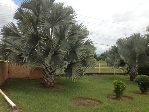 Imagen 16 de 30 de Negociable. Hermosa Casa En El Safari Country Club, Carabobo. 04125038440
