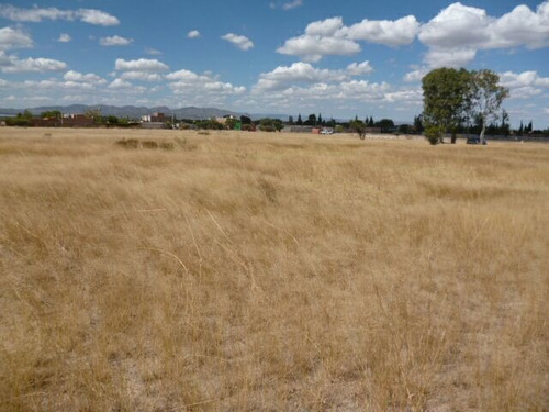 Imagen 8 de 15 de Oportunidad M2 En $132.00 En Montoro 10,500 M2 De Terreno.