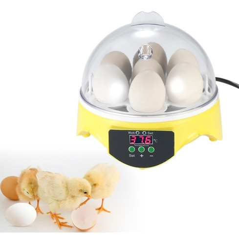 7 Ovos Mini Digital Incubadora Ovos Transparentes Incubadora