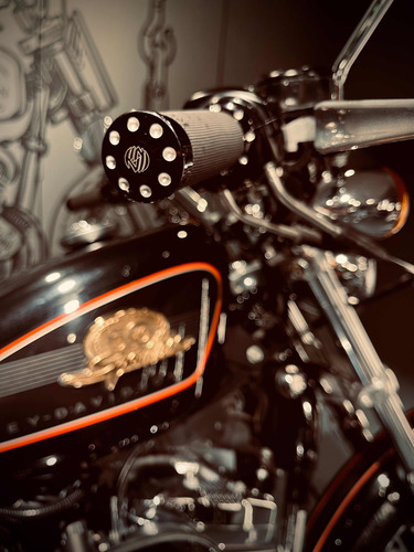 Harley Davidson 50 Aniversario Limited 1200 Df_motorcycles