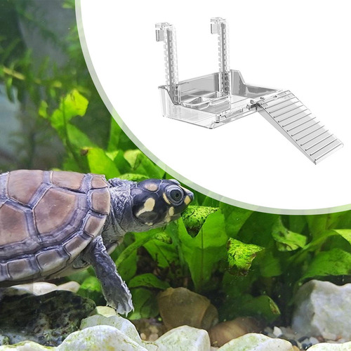 De Para Tanque De Tartaruga Com Rampa Para 163 X 114 X 50 Mm
