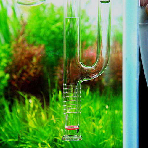 Saída E Entrada De Tubo De Lírio Transparente Com 17 Mm